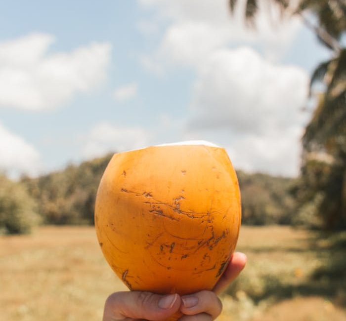 Person Holding A Golden Yellow Coconut